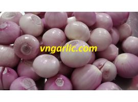 hành indo bóc vỏ