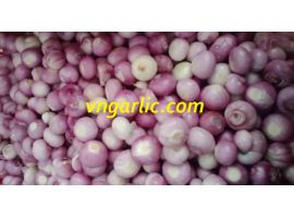 Hành Ấn bóc vỏ