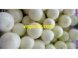 hành tây bóc vỏ