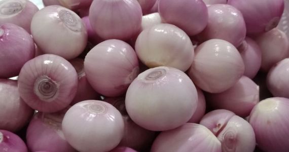 Hành bóc vỏ
