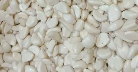 Tỏi bóc vỏ